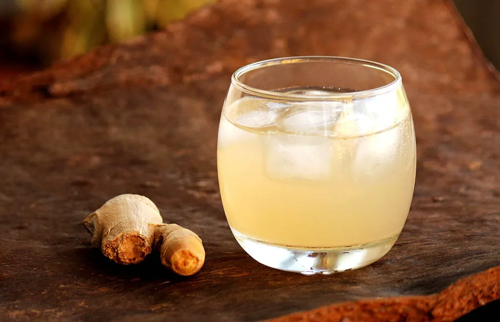 Shrubs de gengibre – Uma bebida fácil e deliciosa