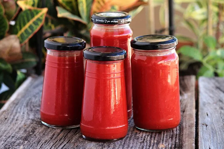 Passata de Tomate e um Ketchup feito com as sementes Mel e Pimenta