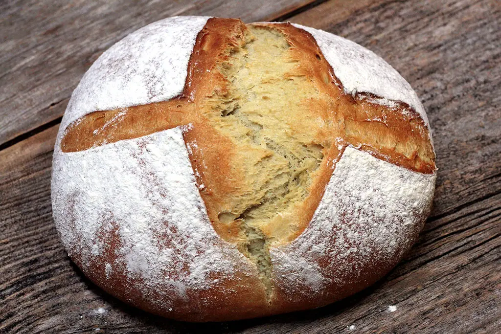 Pão de abacate - Faça seus pães em casa