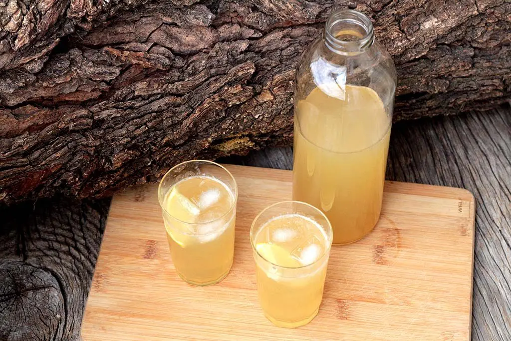 Limonada com gengibre e mel - Refrescante e gostosa