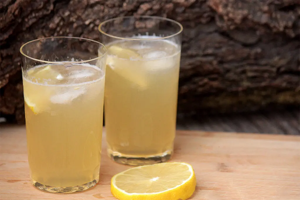 Limonada com gengibre e mel - Refrescante e gostosa