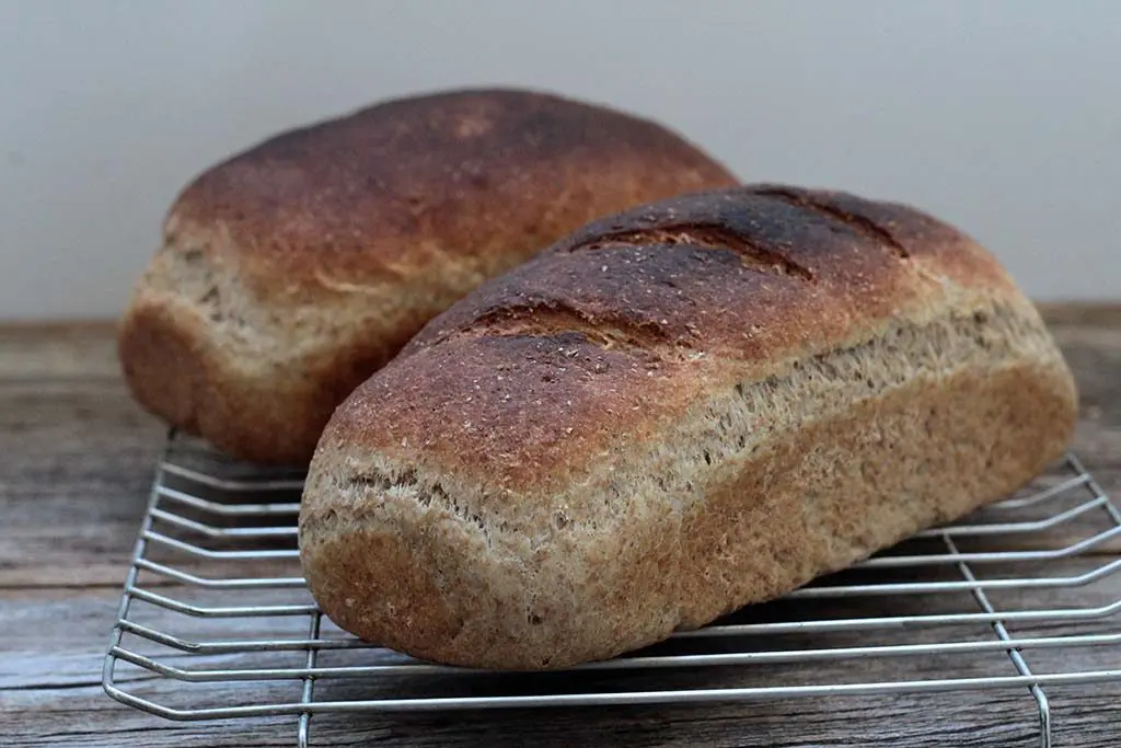 Pão de aveia e farinha integral