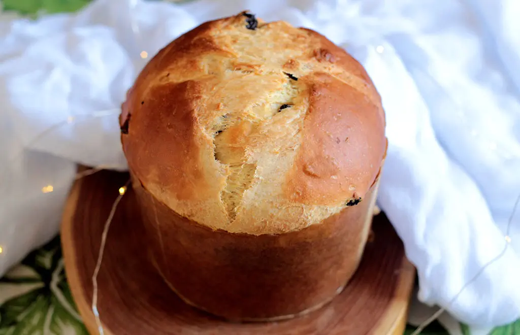 Receita de Panetone Caseiro: Como Fazer um Panetone Macio e Delicioso