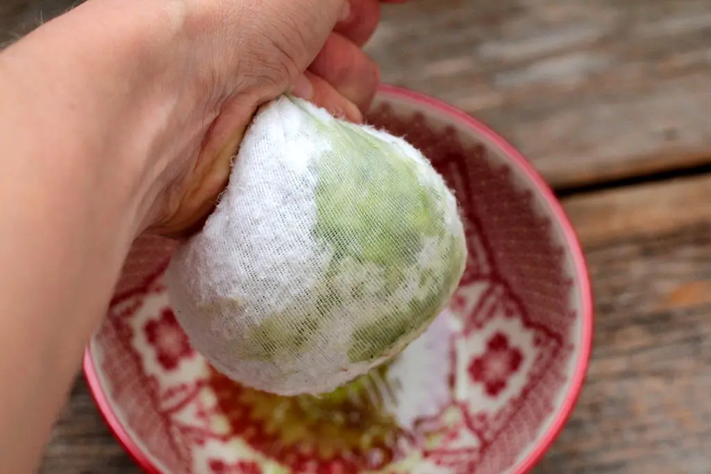 Receita com pepino japônes