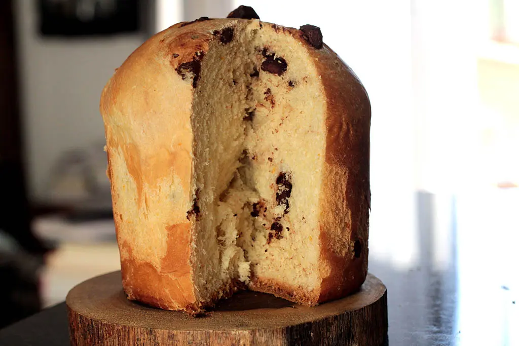 Panetone de chocolate caseiro - O resultado desse chocotone sem lactose impressiona, a massa fica muito leve, desfiando que é o que se espera de uma boa massa de panetone. Faça essa receita na sua casa também, pois ele é simplesmente delicioso.