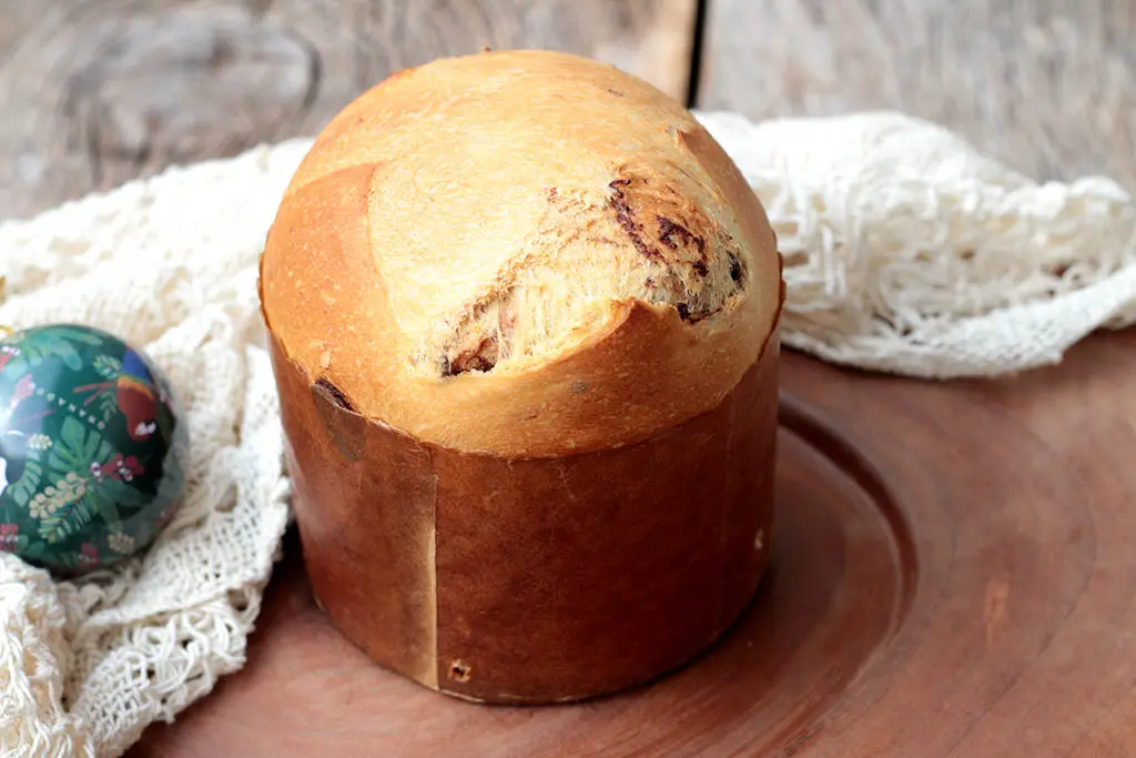 Panetone de chocolate caseiro - Sem lactose -Eu sempre achei que fazer panetones em casa fosse muito complicado, afinal de contas, muitas receitas e técnicas são tão complexas que nos fazem desistir, mas para esse Natal, eu prometi para mim mesma, que iria me arriscar mais e sair em busca de boas receitas. Foi uma bela surpresa descobrir que posso fazer um bom panetone caseiro. O primeiro teste foi com a receita de Panetone caseiro e agora um desafio ainda maior, preparei um panetone de chocolate caseiro, o famoso chocotone, mas fiz sem lactose.