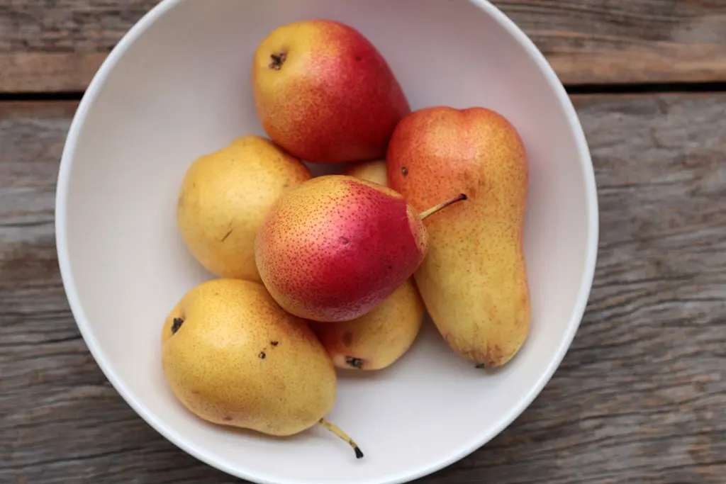 Geleia pera laranja gengibre Baixa 1