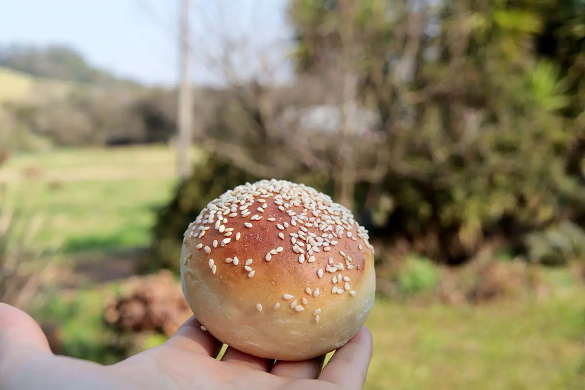 Pão fofinho com gergelim, para hambúrguer ou sanduíche