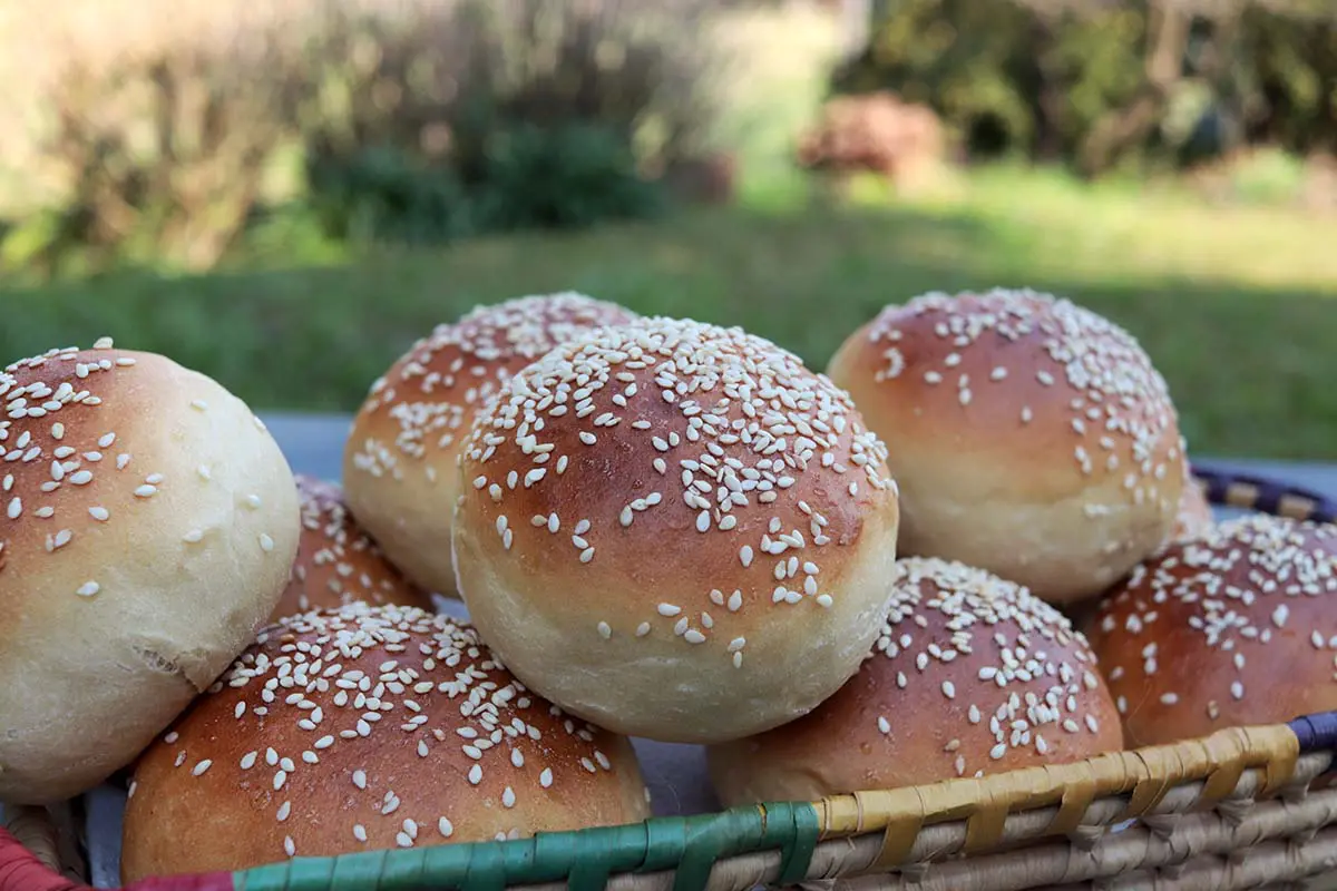 Pão fofinho com gergelim, para hambúrguer ou sanduíche