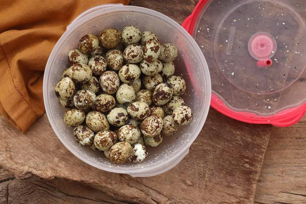 Ovo de codorna em conserva Como fazer Mel e Pimenta